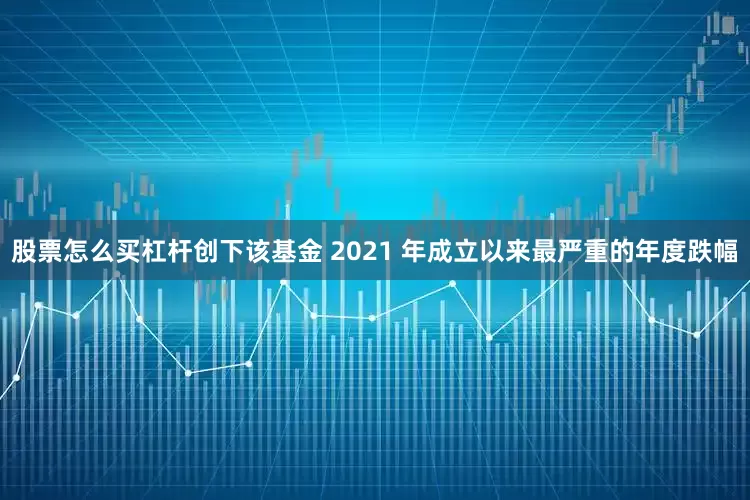 股票怎么买杠杆创下该基金 2021 年成立以来最严重的年度跌幅