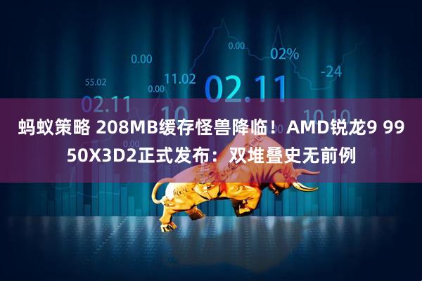 蚂蚁策略 208MB缓存怪兽降临!AMD锐龙9 9950X3D2正式发布:双堆叠史无前例